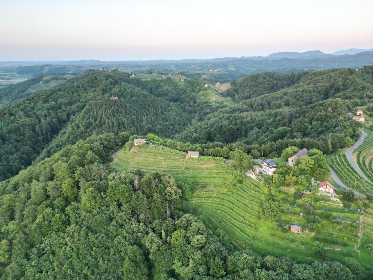 Adorable Guesthouse In The Middle Of Vineyards Ptujska Gora Esterno foto