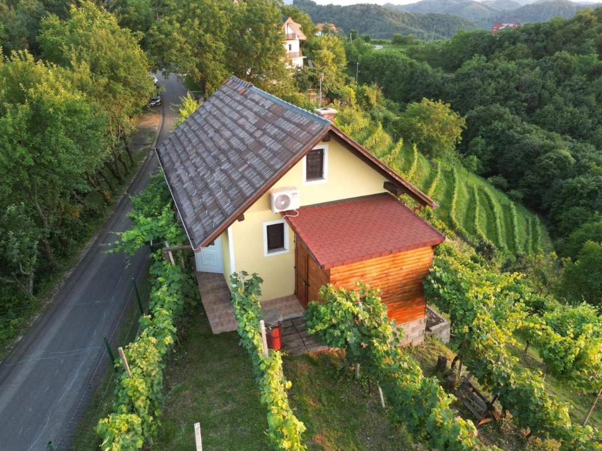 Adorable Guesthouse In The Middle Of Vineyards Ptujska Gora Esterno foto