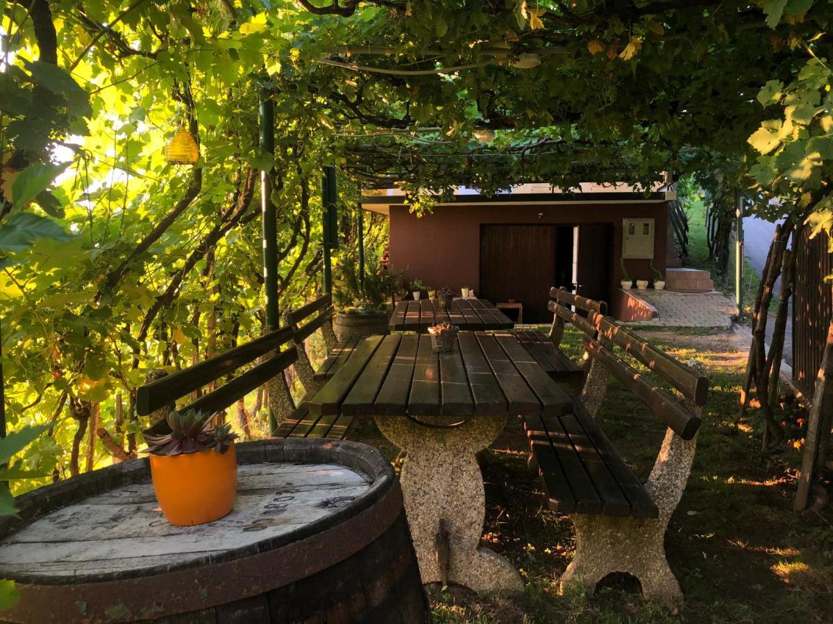 Adorable Guesthouse In The Middle Of Vineyards Ptujska Gora Esterno foto